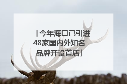 今年海口已引进48家国内外知名品牌开设首店